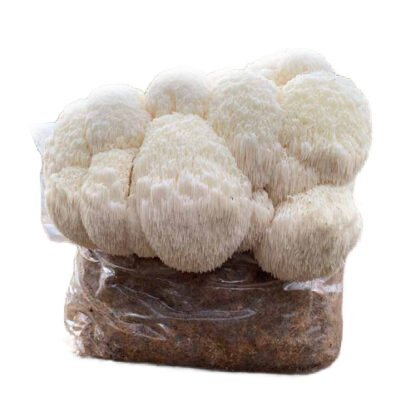 Lions Mane Grow Block