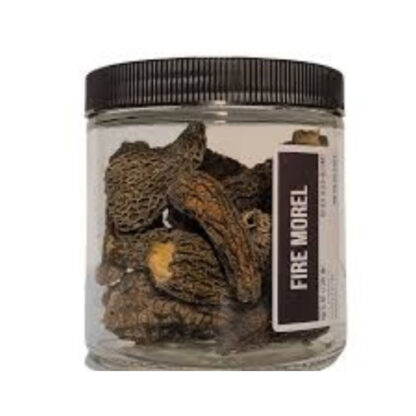 Dehydrated Fire Morels