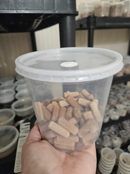 sterilized plug kit